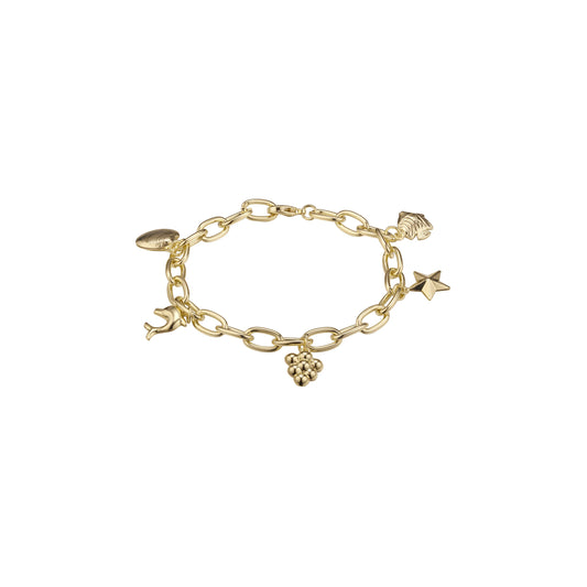 Dolphin, star, grapes, fish, and shell fancy link bracelets plated in 14K Gold colors