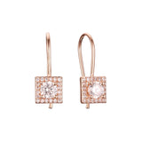 Wire hook earrings in Rose Gold, Rose Gold two tone plating colors