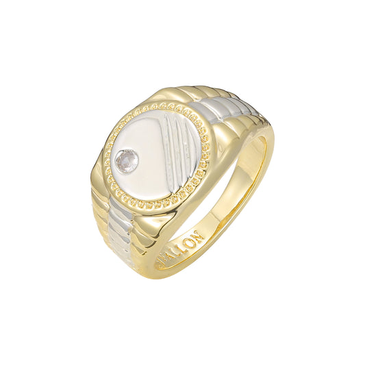 Anéis masculinos de ouro 14K em 2 cores